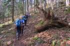 mirnagora202517_small.jpg