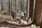 mirnagora202520_small.jpg