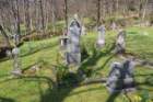 mirnagora202531_small.jpg