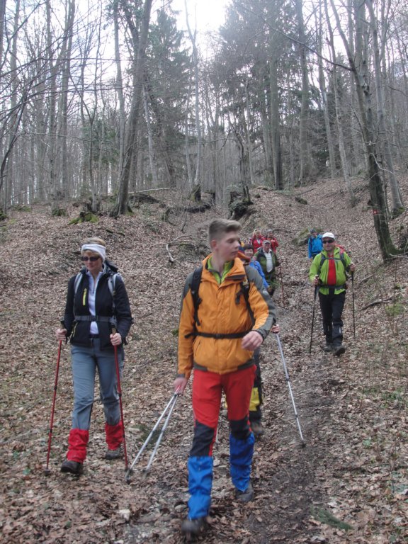 mirnagora25.jpg