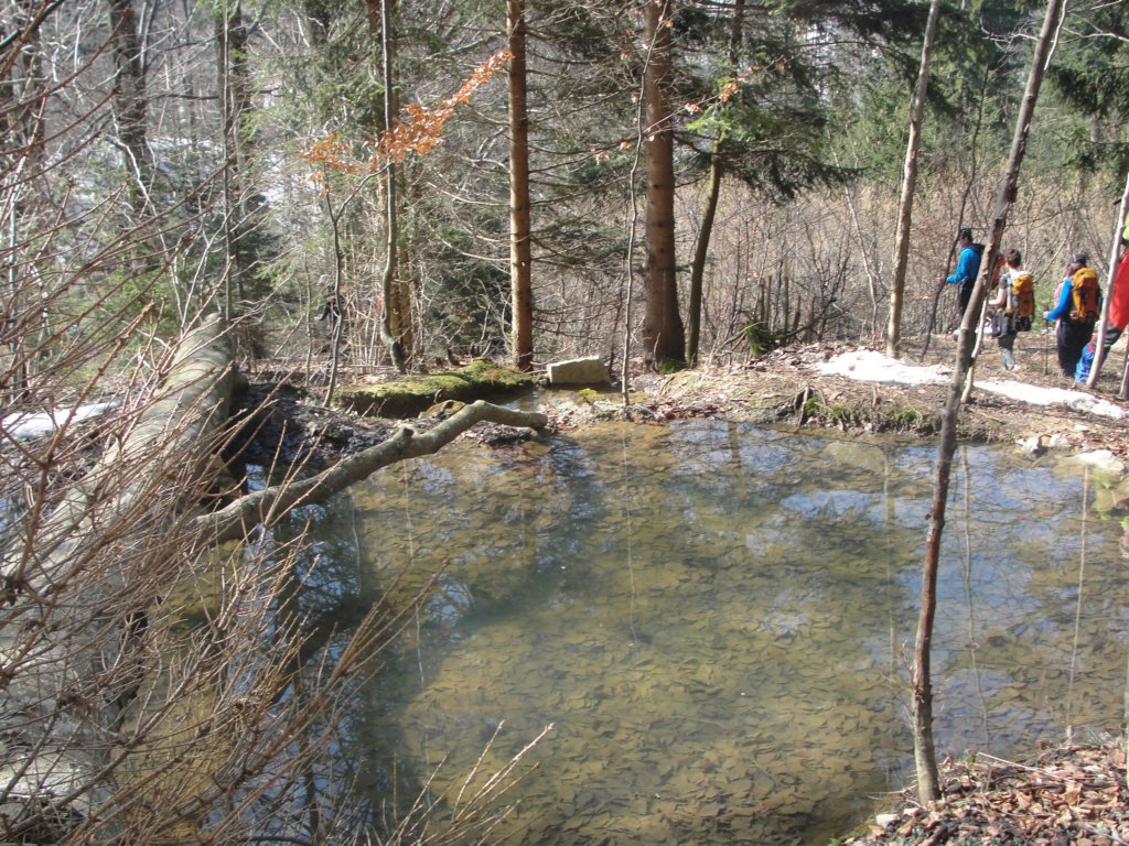 mirnagora6.jpg