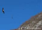 montefesta48_small.jpg