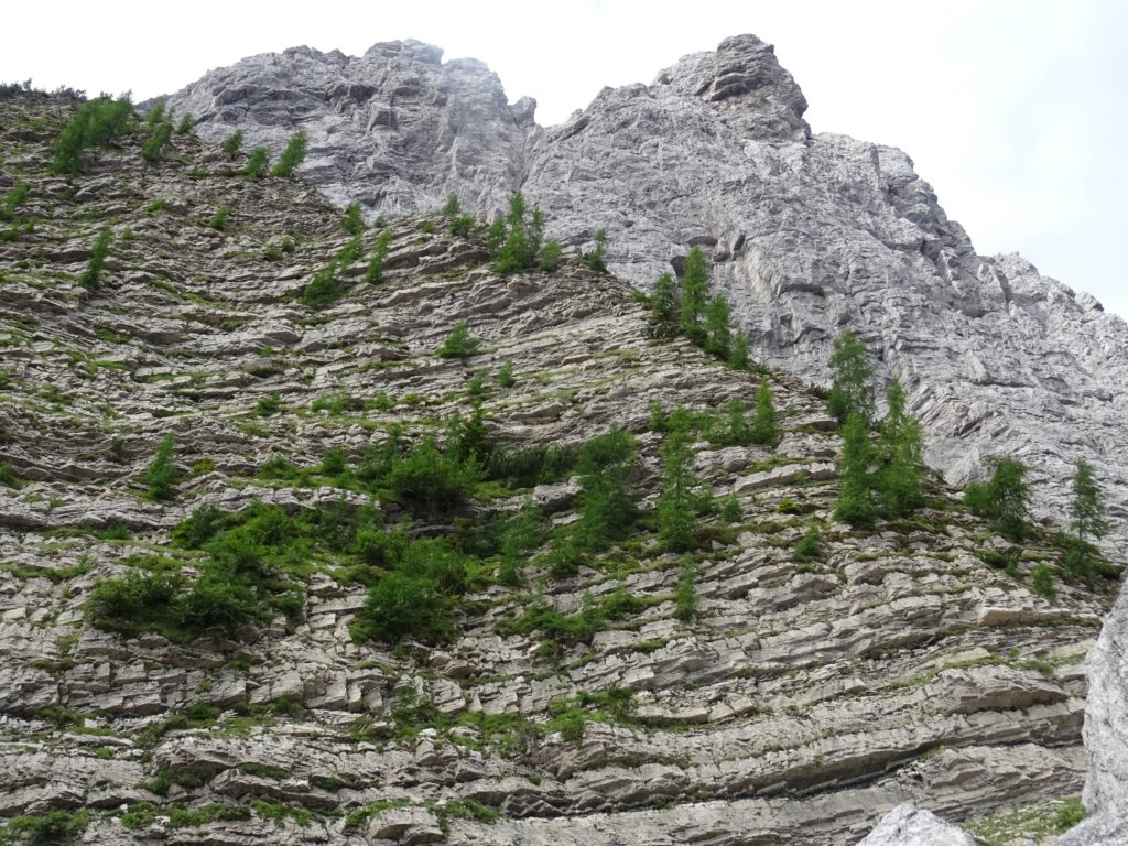montesernio28.jpg