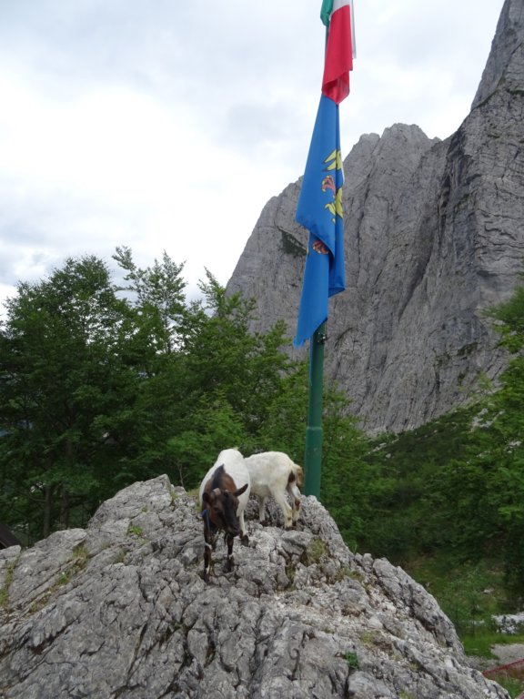 montesernio70.jpg