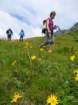 montezermula101_small.jpg