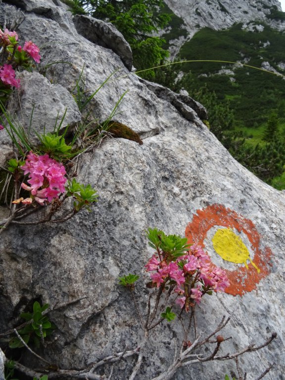 montezermula120.jpg
