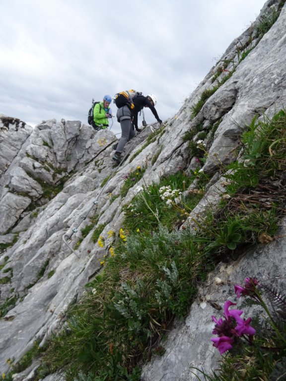 montezermula55.jpg