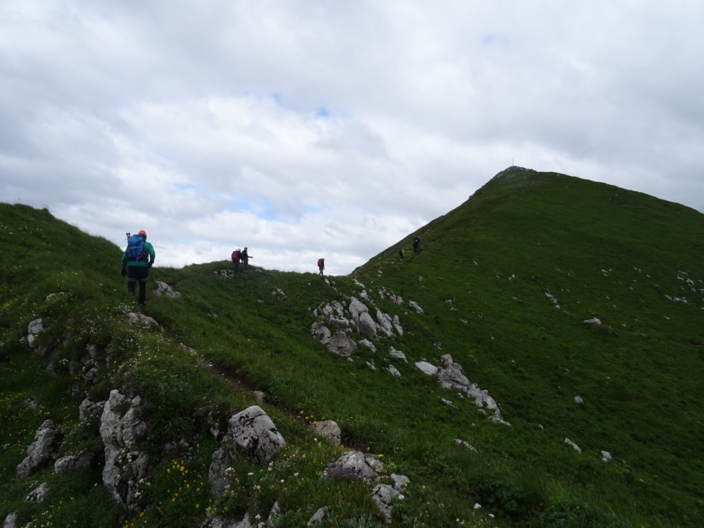 montezermula61.jpg