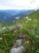 montezermula62_small.jpg