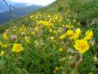 montezermula63_small.jpg