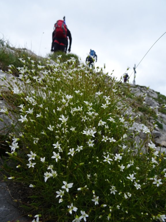 montezermula64.jpg