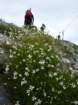 montezermula64_small.jpg
