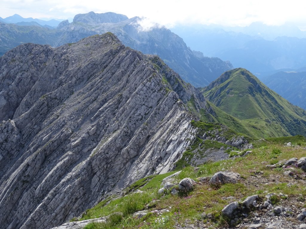 montezermula74.jpg