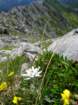 montezermula89_small.jpg