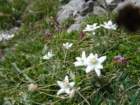 montezermula90_small.jpg