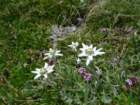 montezermula91_small.jpg