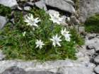 montezermula92_small.jpg