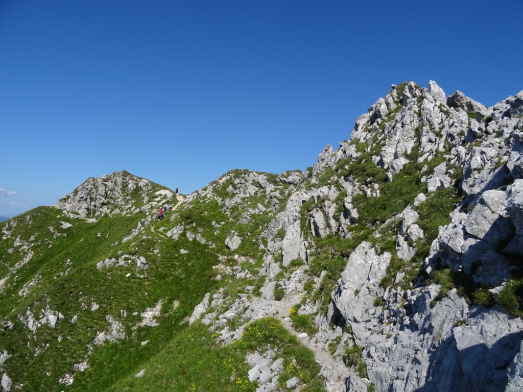montezermula35.jpg