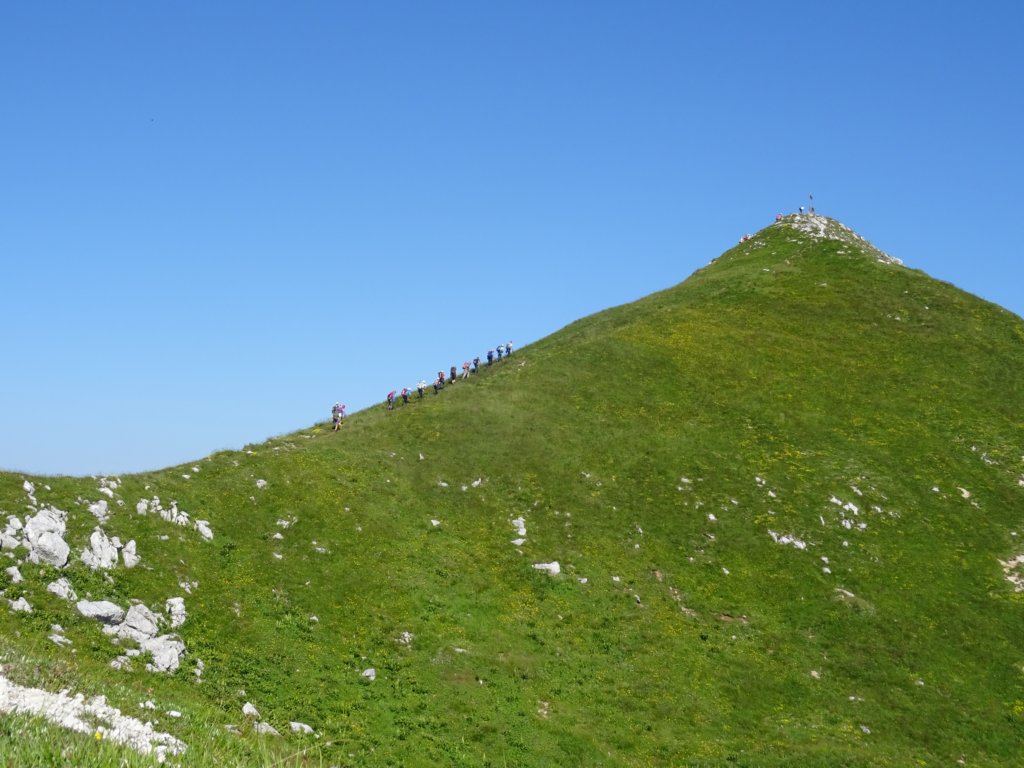 montezermula41.jpg