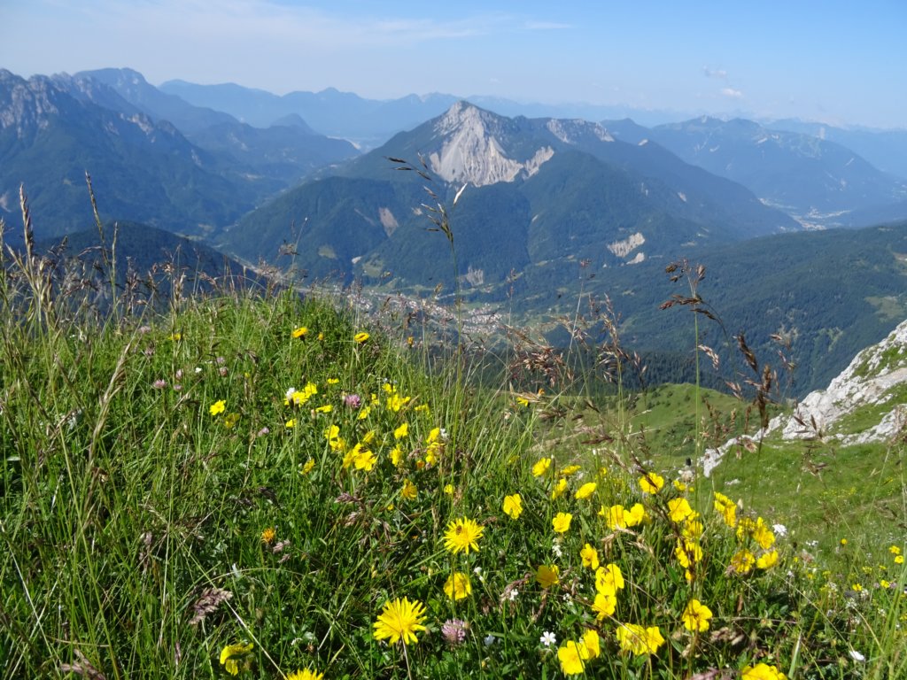 montezermula45.jpg