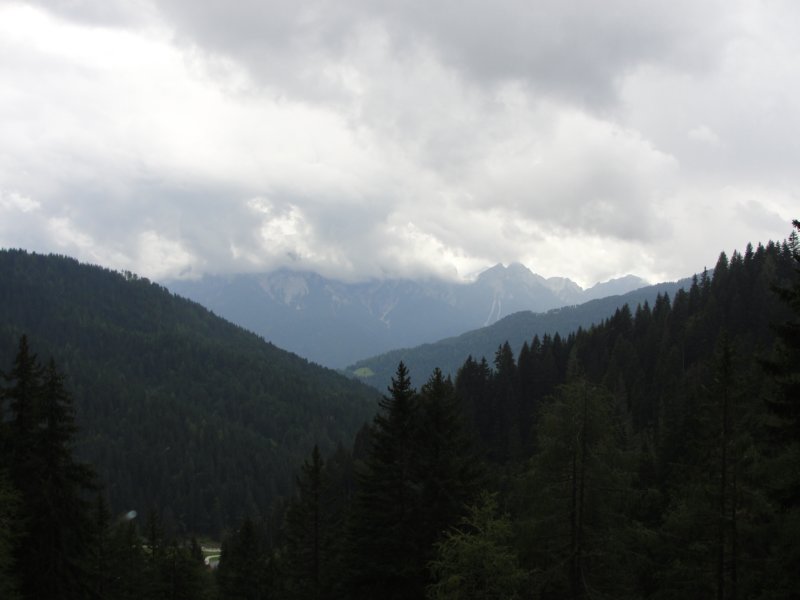 ojstrnik048.jpg