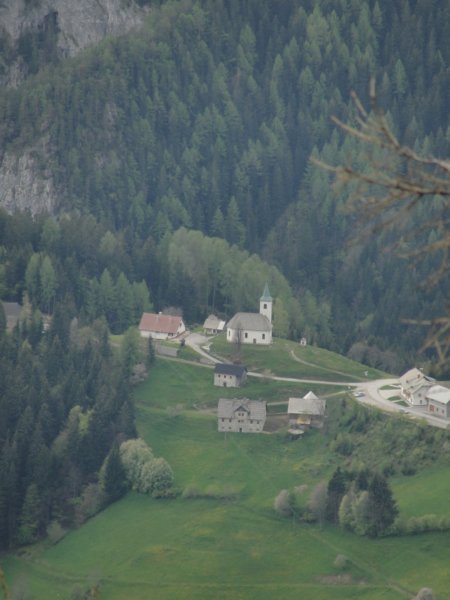 oleva45.jpg