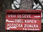 oleva62_small.jpg