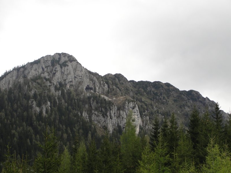 oleva71.jpg