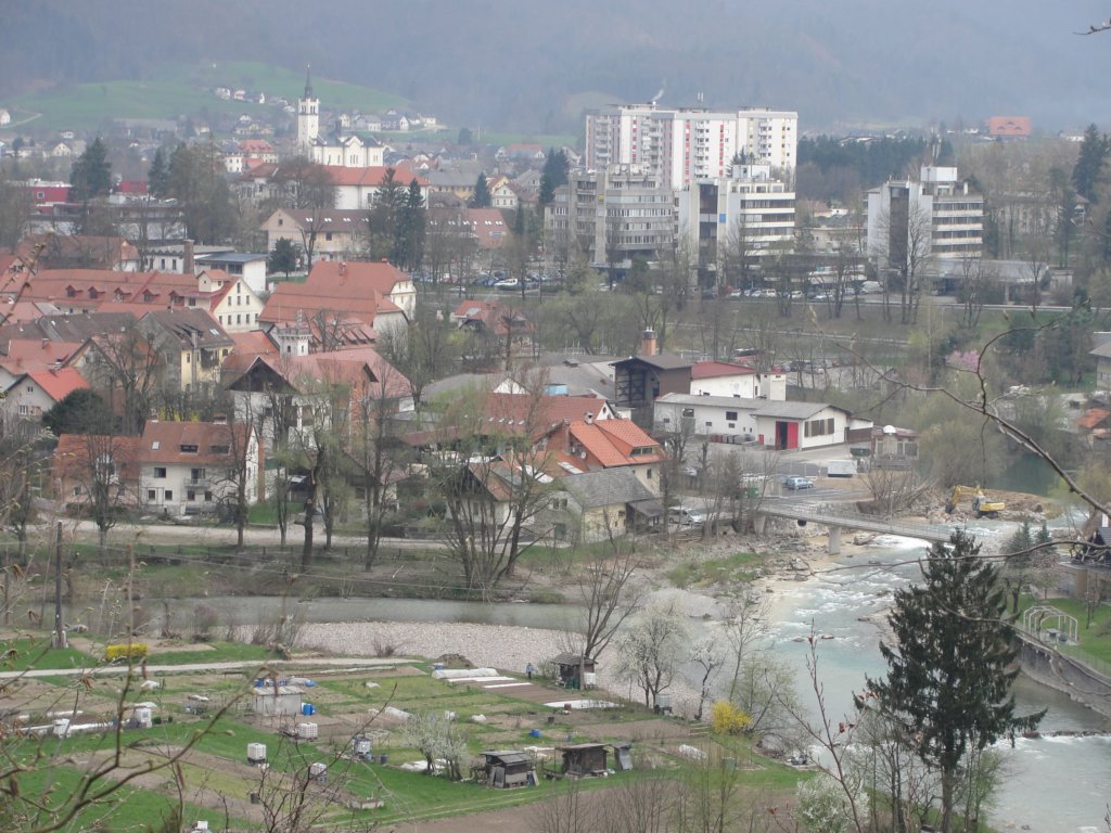 osolnik13.jpg