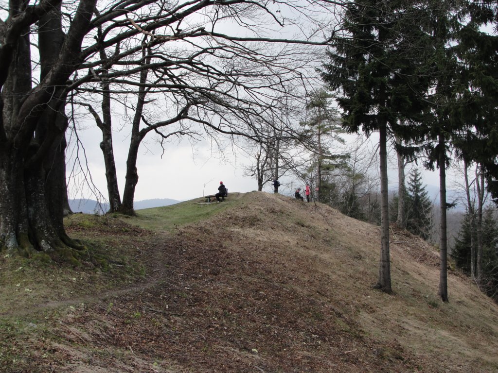 osolnik31.jpg