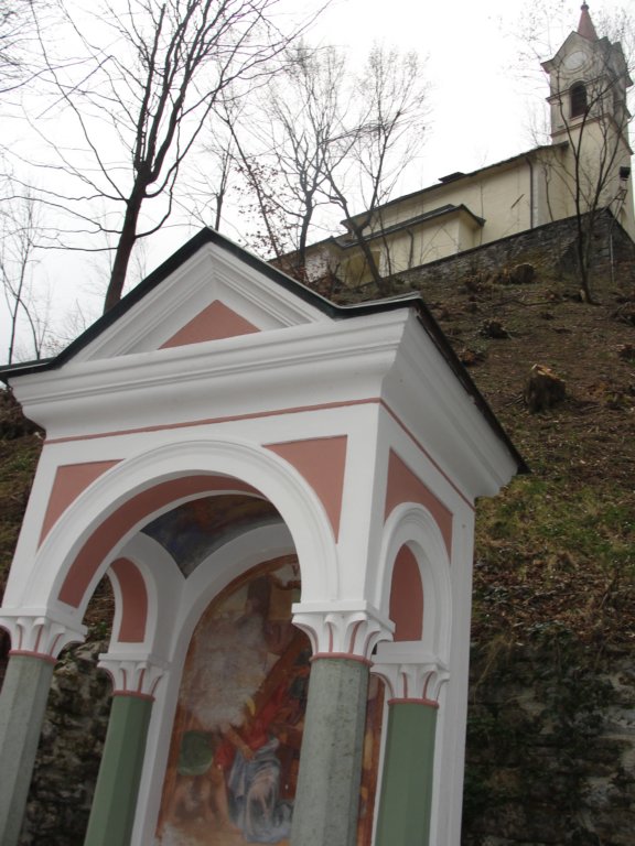 osolnik4.jpg