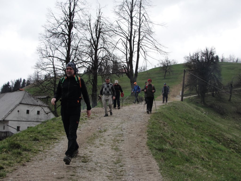 osolnik47.jpg