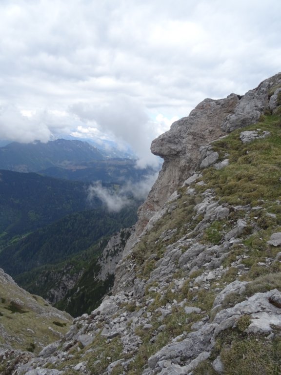 peca202059.jpg