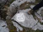 peca202065_small.jpg