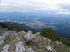 peca202068_small.jpg