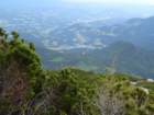 peca202071_small.jpg