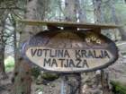 peca202073_small.jpg
