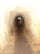 peca202076_small.jpg
