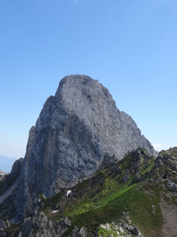 peralbainchiadenis117.jpg