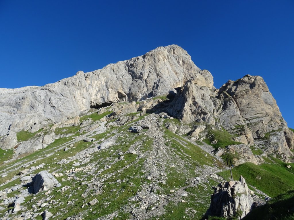 peralbainchiadenis18.jpg
