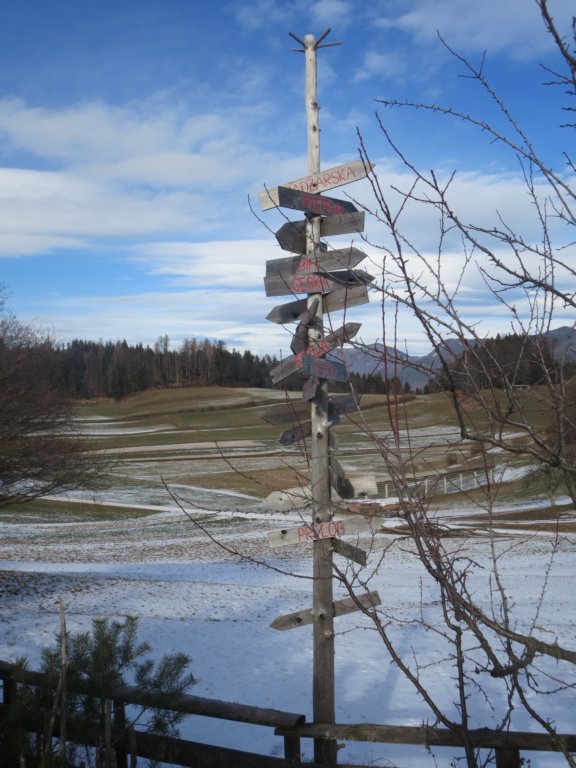 pilk35.jpg