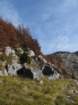 pirhovec37_small.jpg