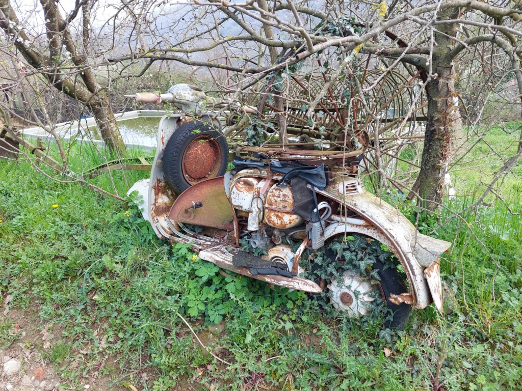 pogorikihgriih7.jpg
