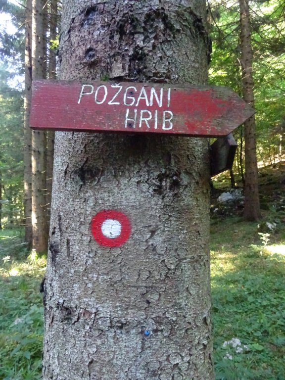 pogorjestojne46.jpg