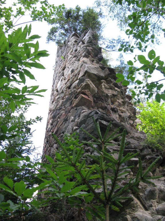 pohorje6.jpg