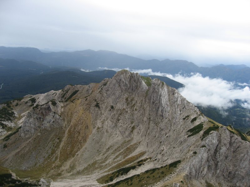 pokljuka005.jpg