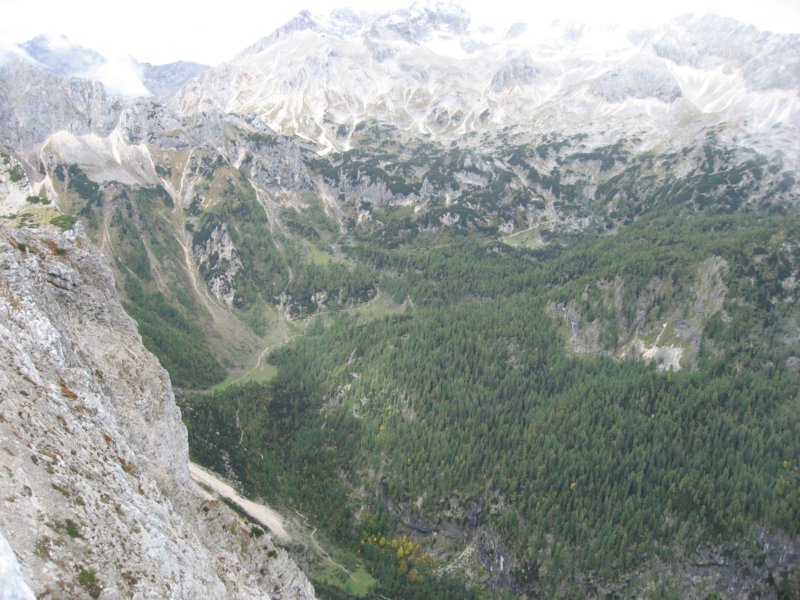 pokljuka010.jpg