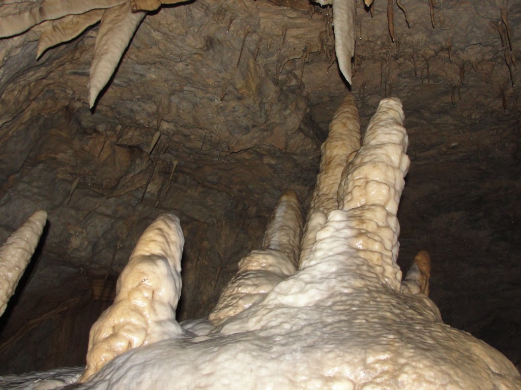 jamapoltarica33.jpg