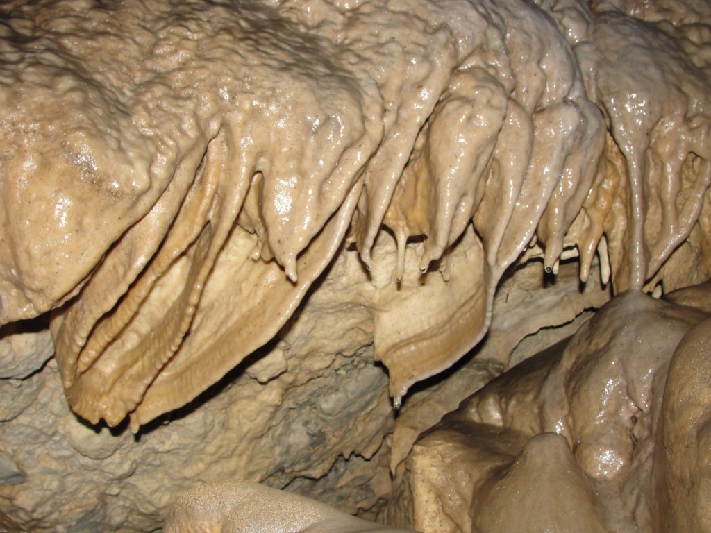 jamapoltarica35.jpg