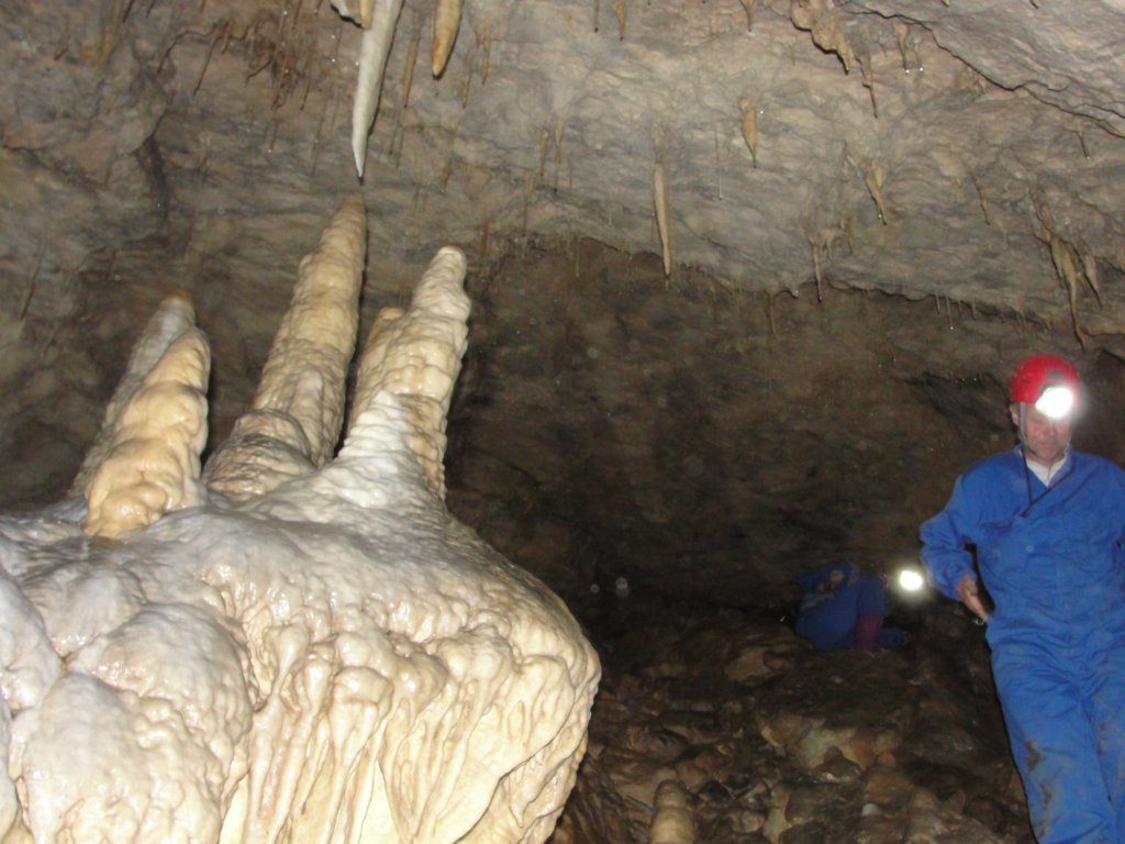 jamapoltarica4.jpg